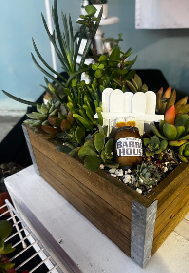 Spring Garden Succulent (Instructor Travels) - Gallery image