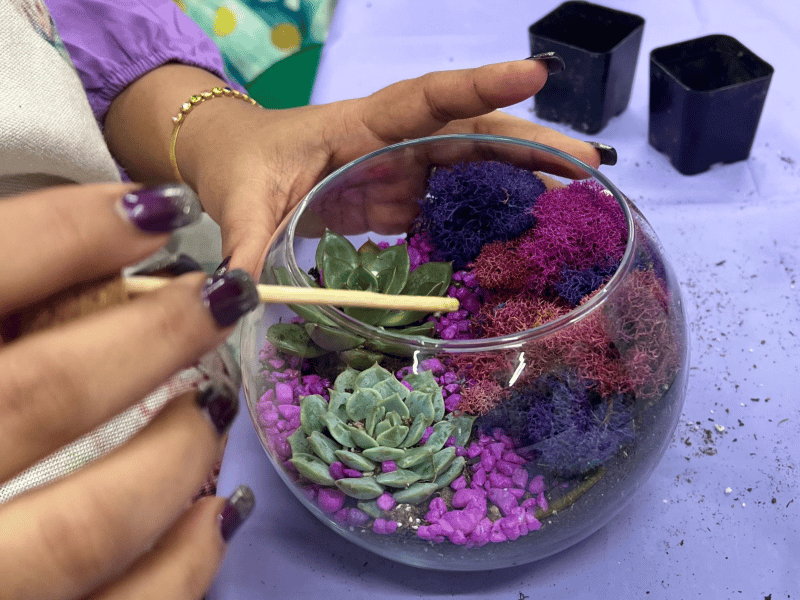 Virtual Team Succulent Terrarium Workshop - Gallery image
