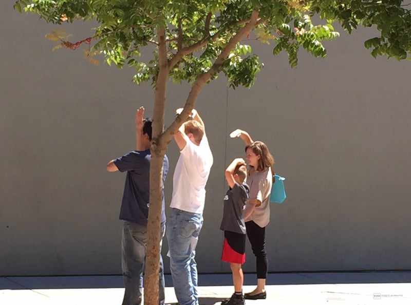 Pacific Heights Treasure Hunt - SF Team Building Adventure - Gallery image