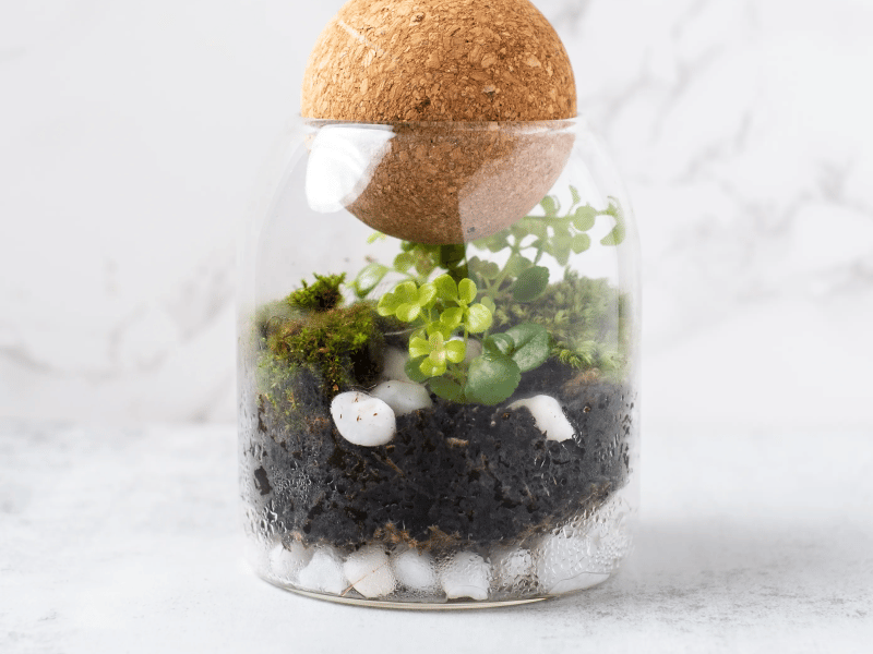 Mini Terrarium Workshop - Gallery image