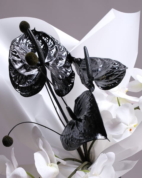 Sculptural Arrangement with White Orchids and Black Anthuriums - Gallery image