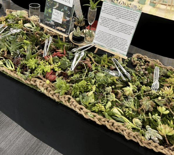 Succulent Arrangement Workshop for (Instructor Travels) - Gallery image