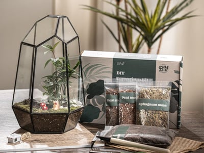 Wardian Case Terrarium Workshop Experiences - Featured