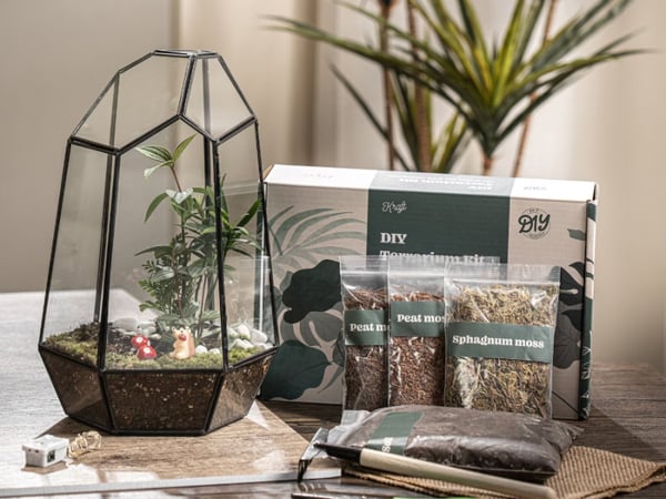 Wardian Case Terrarium Workshop - Anniversary - Featured image
