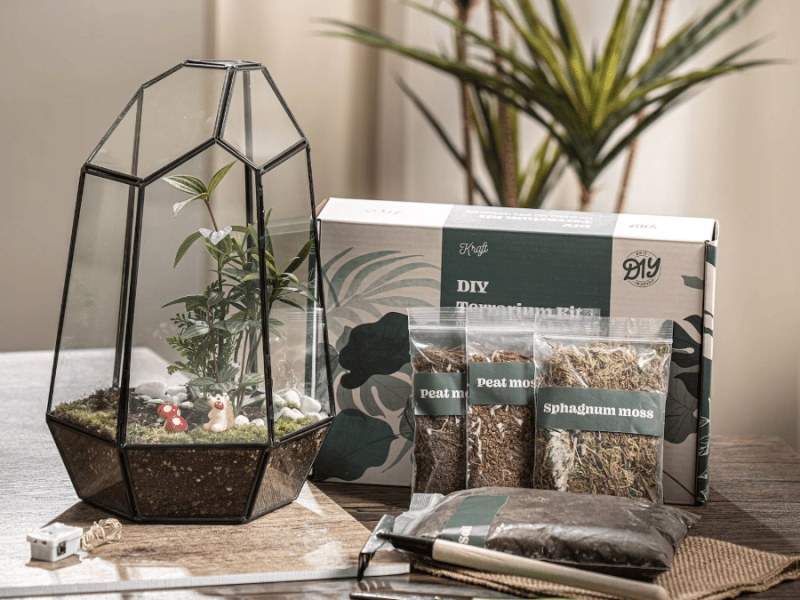 Wardian Case Terrarium Workshop - Featured image
