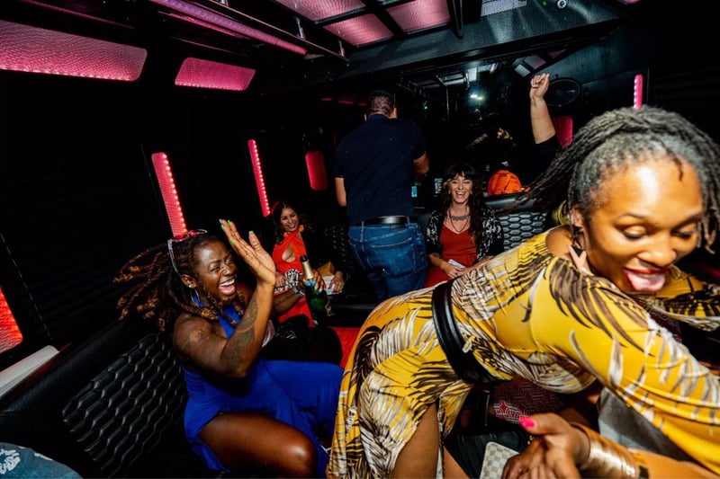 Small Party Bus with Onboard Restroom Rental for Up to 19 Guests - Gallery image