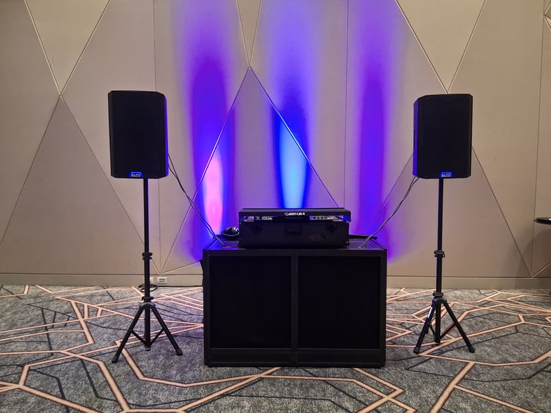 Professional Chicago DJ | Weddings, Corporate & Private Events - Gallery image