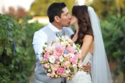 The Essential - Gallery image