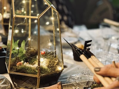 Sip & Terrarium Workshop in San Francisco or