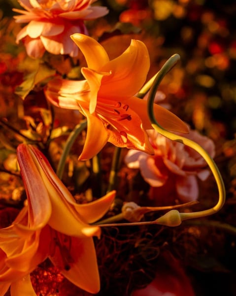 Full-Service Wedding Floral Design for Intimate Weddings - Gallery image