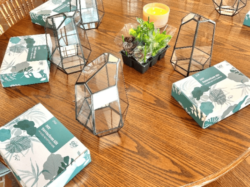 Sip & Terrarium Workshop in NYC - Gallery image