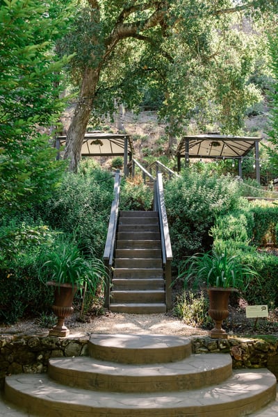 Sonoma Wedding Photography Six-Hour Essential Coverage - Gallery image