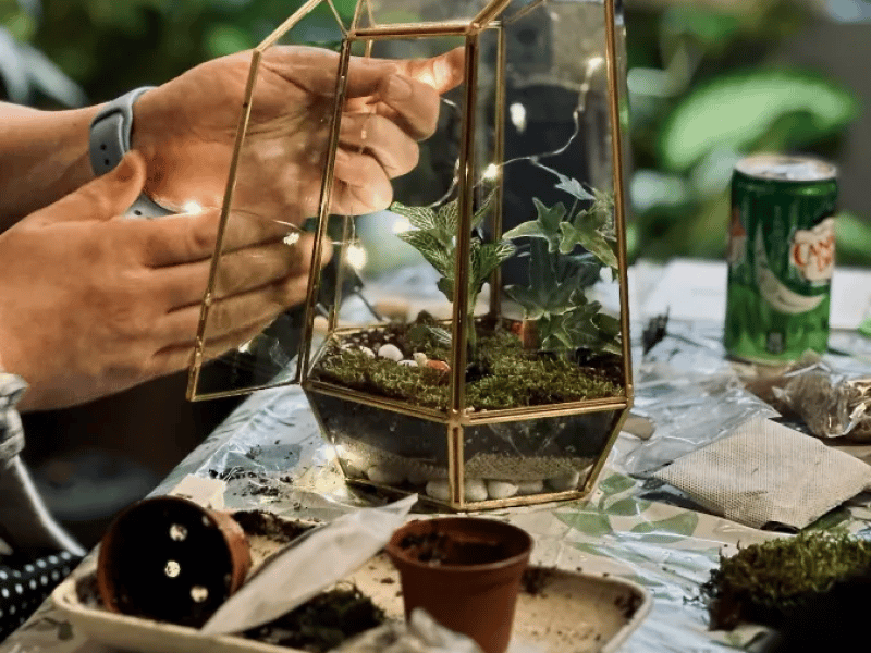 Sip & Terrarium Workshop in San Francisco or - Gallery image