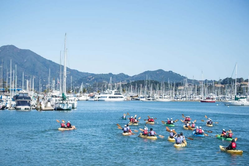 Guided Team Kayak Tour Past Houseboats, Harbor Seals and Ships - Gallery image