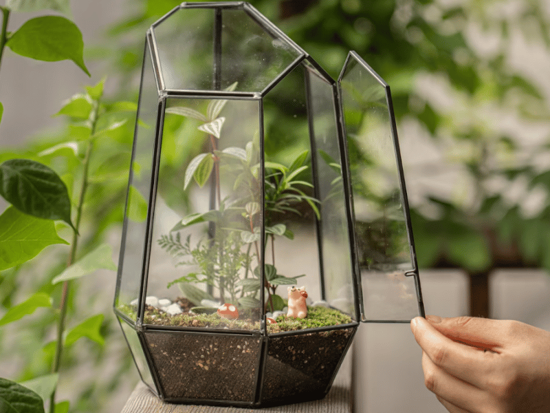 Wardian Case Terrarium Workshop - Gallery image
