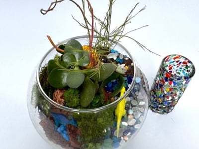 Terrarium & Sip Workshop: Tequila or Wine Edition Experiences in San Mateo - Featured