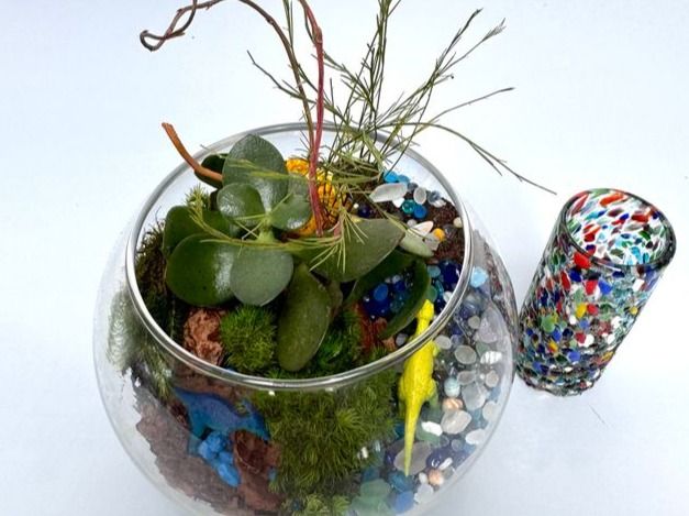 Traveling Terrarium & Sip: Tequila or Wine Edition - Gallery image
