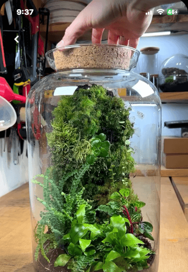 Terrarium Creation Workshop for Team Building - Gallery image