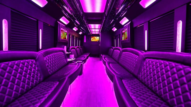 Medium Party Bus with Onboard Restroom Rental for Up to 28 Guests - Gallery image