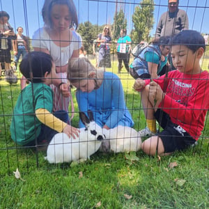 Mobile Petting Zoo for Kids Birthday Parties and Family Events