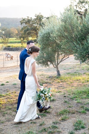 Sonoma Wedding Photography Six-Hour Essential Coverage - Anniversary - Featured image