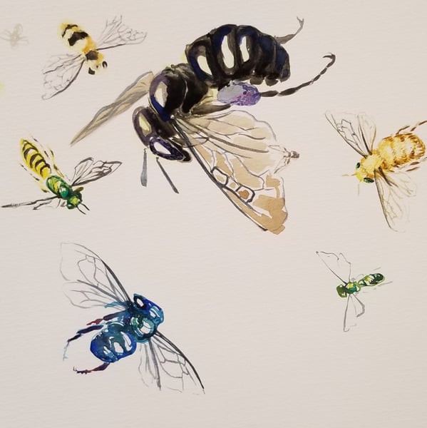 Bees and Blooms Watercolor Painting Class for Teams and Friends - Gallery image