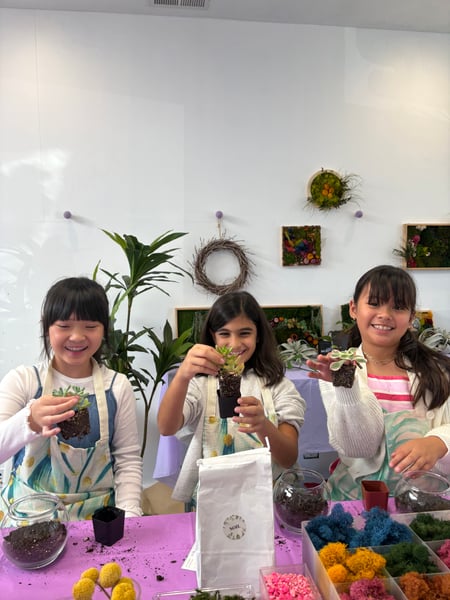 Halloween Succulent Terrarium Class - Gallery image