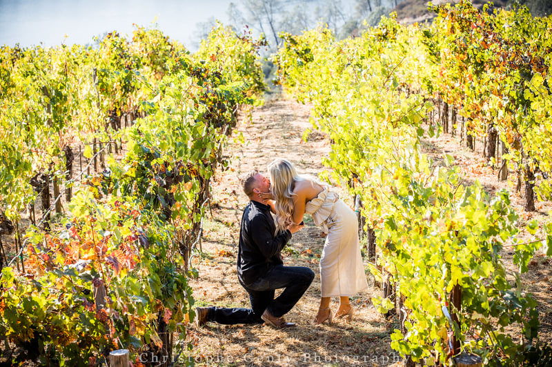 Napa Valley Proposal Photography Hidden Photographer Session - Gallery image
