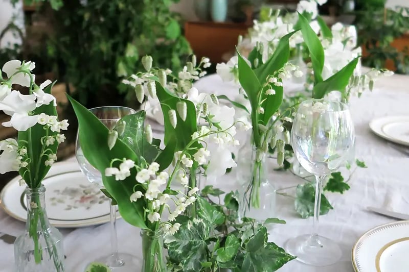 Starting Package - Gallery image