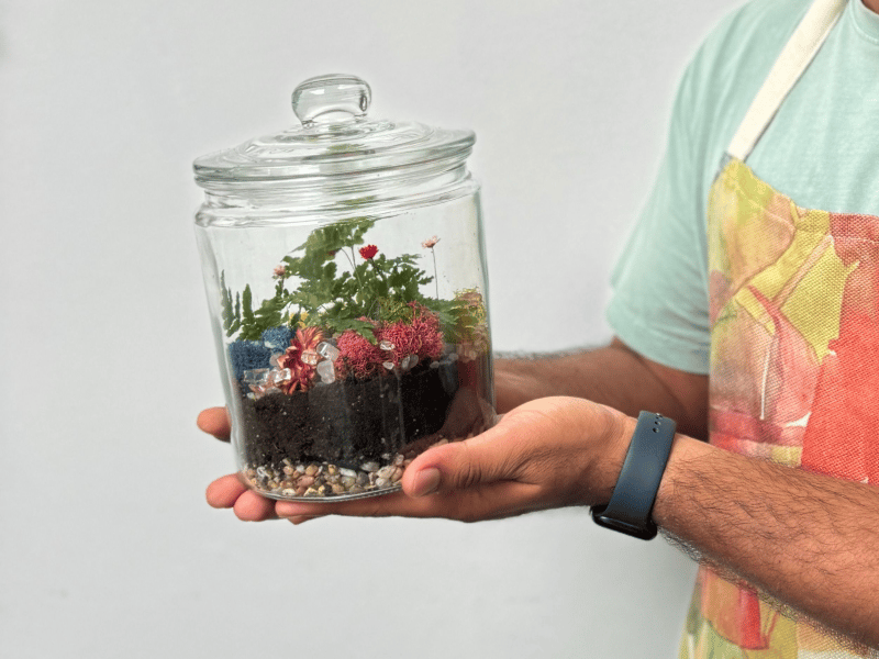Virtual Self Sustaining Ecosystem Terrarium Workshop - Gallery image