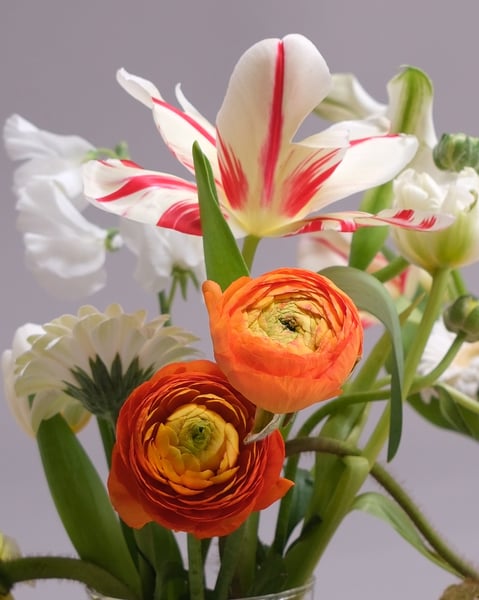 Petite Vase Set of White and Orange Event Floral Arrangements - Gallery image