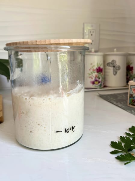 Sourdough Bread Making Workshop: From Bubbly Starter to Your Loaf - Gallery image