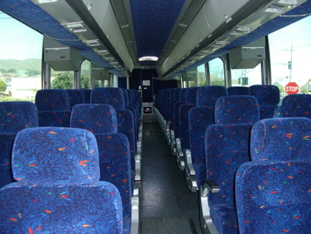 47 Passenger VIP Coach Premium Rental for Weddings & Celebrations - Gallery image