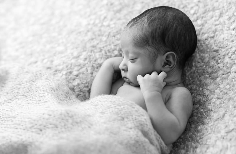 Newborn Photography Studio Session Two-Hour Baby Sibling Set - Gallery image