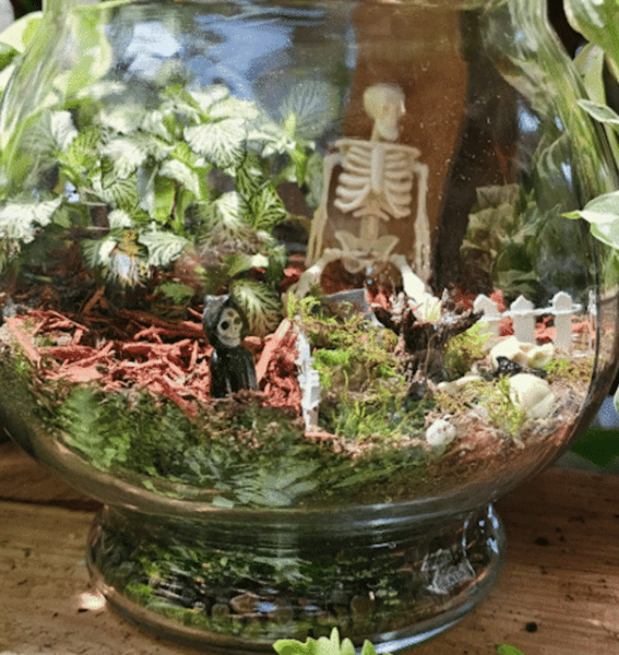 Spooky Halloween Terrarium Class - Gallery image