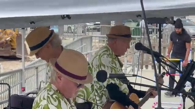 Hawaiian Style Musicians for Luau Parties and Wedding Events - Gallery image