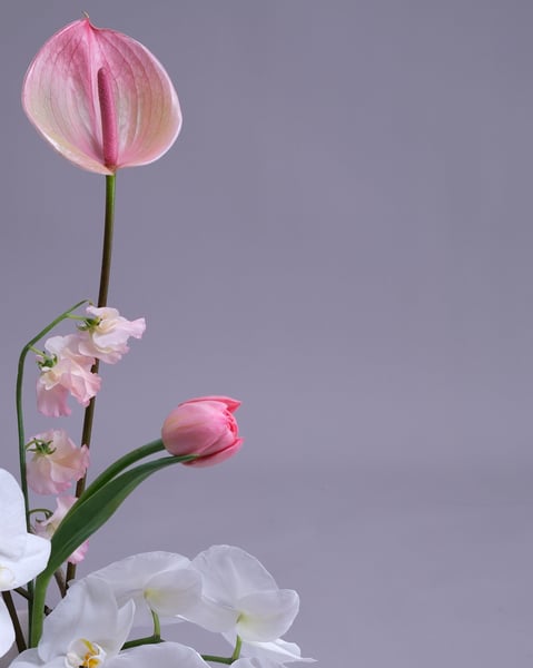 Blush and White Centerpiece Set of Two with Orchids and Tulips - Gallery image