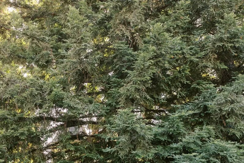 Starting Package - Gallery image