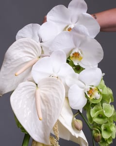 Cascading White and Green Bridal Bouquet with Anthuriums Florists - Featured