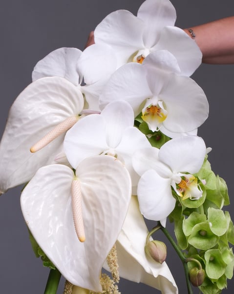 Cascading White and Green Bridal Bouquet with Anthuriums - Featured image