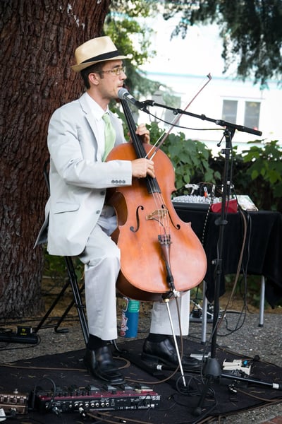 Wedding DJ MC with Live Cello, Beatbox, and Dance Lighting - Gallery image