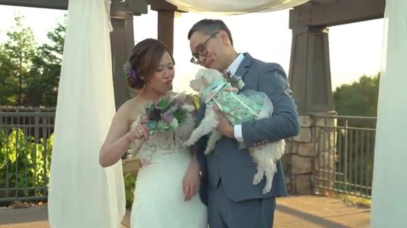 Wedding Videographer Raw Footage Six Hour Cinematic Coverage - Gallery image
