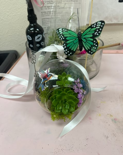Mini Plant Oasis Terrarium Workshop with Snacks and Bubbly - Featured image