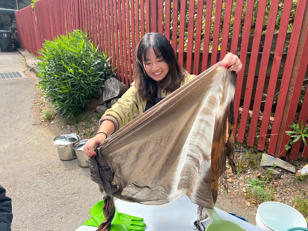 Natural Dye Scarf Workshop with Foraged Plants in a Garden Studio - Holiday Party in Mill Valley - Featured image
