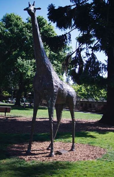 San Mateo Treasure Hunt - Featured image