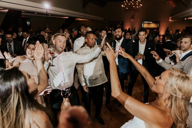 Four-Hour Wedding Reception DJ MC with Sound and Uplighting - Gallery image