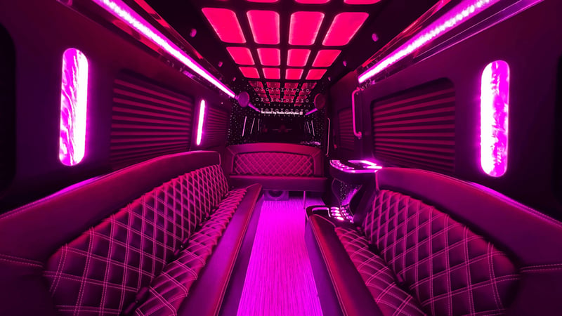 Small Party Bus with Onboard Restroom Rental for Up to 19 Guests - Gallery image