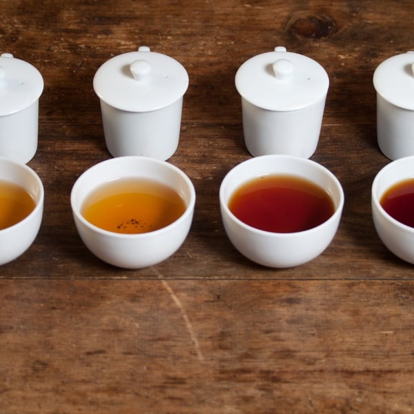 Global Tea Tasting Class: Six to Eight Teas from Four Continents - Gallery image