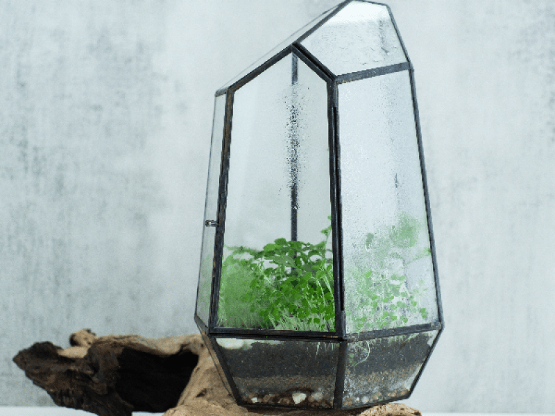 Sip & Terrarium Workshop in NYC - Featured image