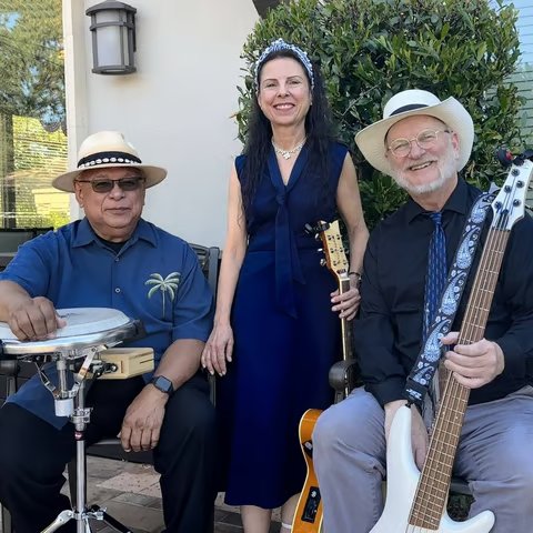 San Francisco Rock Trio for Wedding and Corporate Events - Gallery image